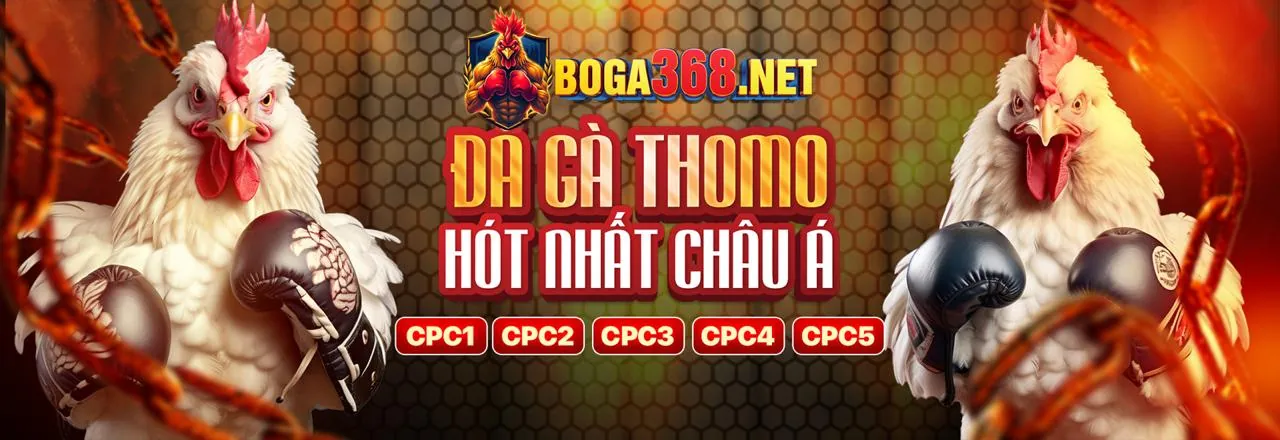 Biểu tượng hoàn tiền, khuyến mãi hoàn trả cược